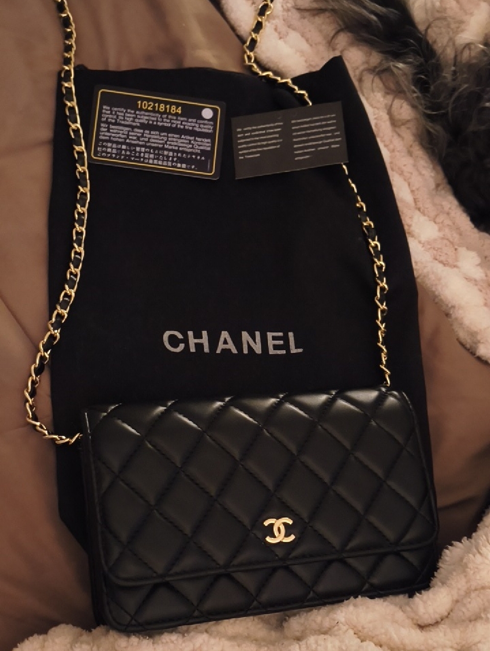 Authentic CHANEL Wallet With A Chain In Cavier Black